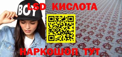 кокс Кингисепп