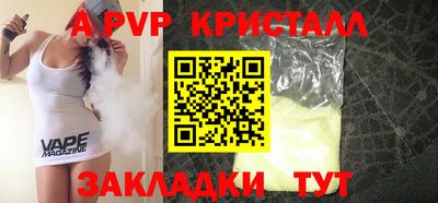 кокс Кингисепп