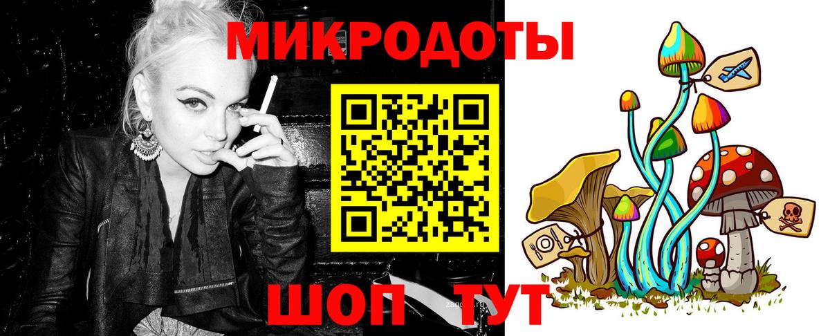 Псилоцибиновые грибы Cubensis Кириши