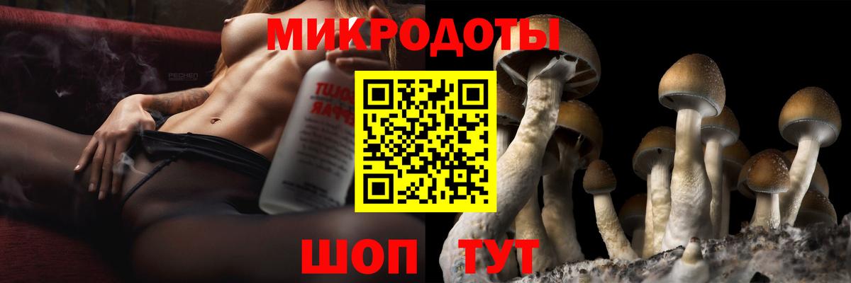 купить наркотик  Вход с VPN  Кириши  Галлюциногенные грибы мицелий 